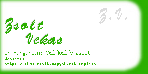 zsolt vekas business card